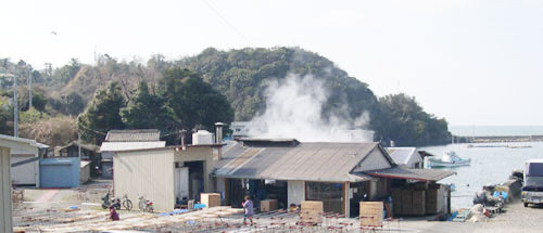 カネマタ海産の釜揚げしらす