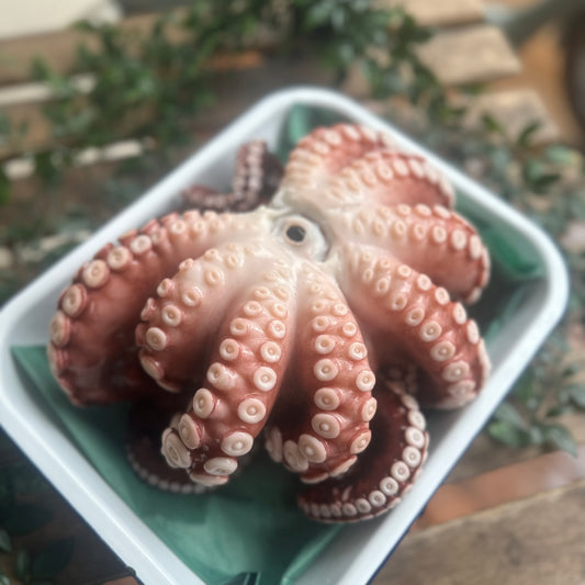 久慈ボイルミズダコ(1本)