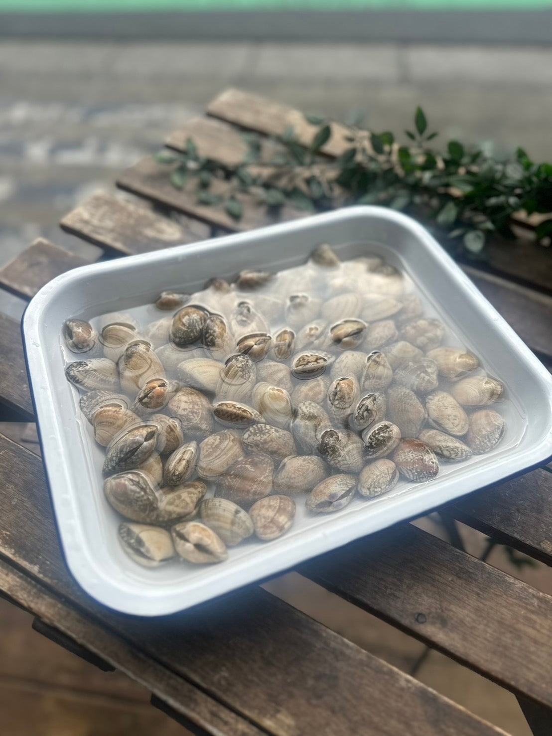 室津のアサリ(100g)