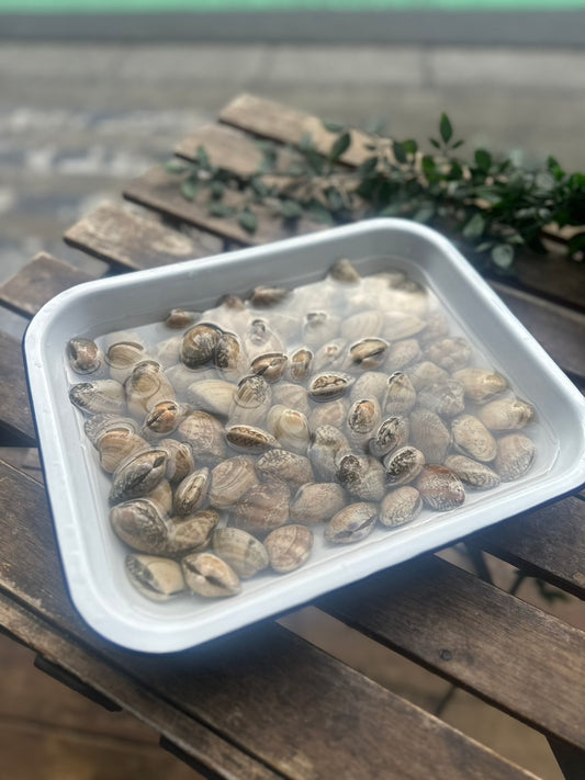 室津のアサリ(100g)