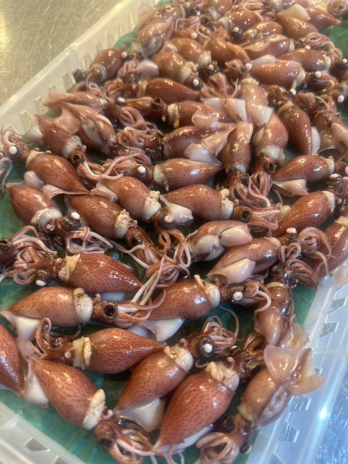 富山ホタルイカ 約50g