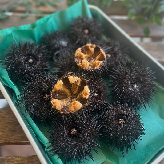 殻付きウニ(きたむらさきうに)