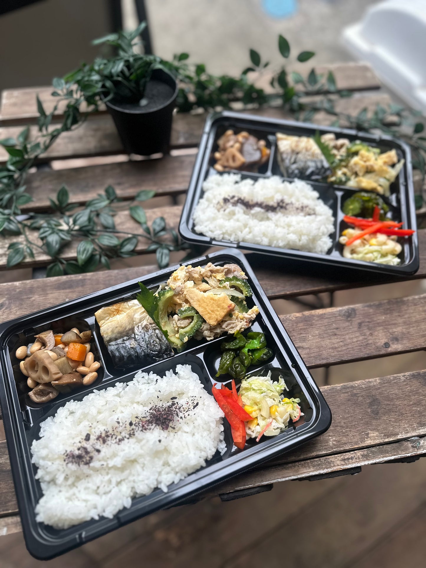 日替わり幕内弁当 ゴーヤチャンプルとサバの塩焼