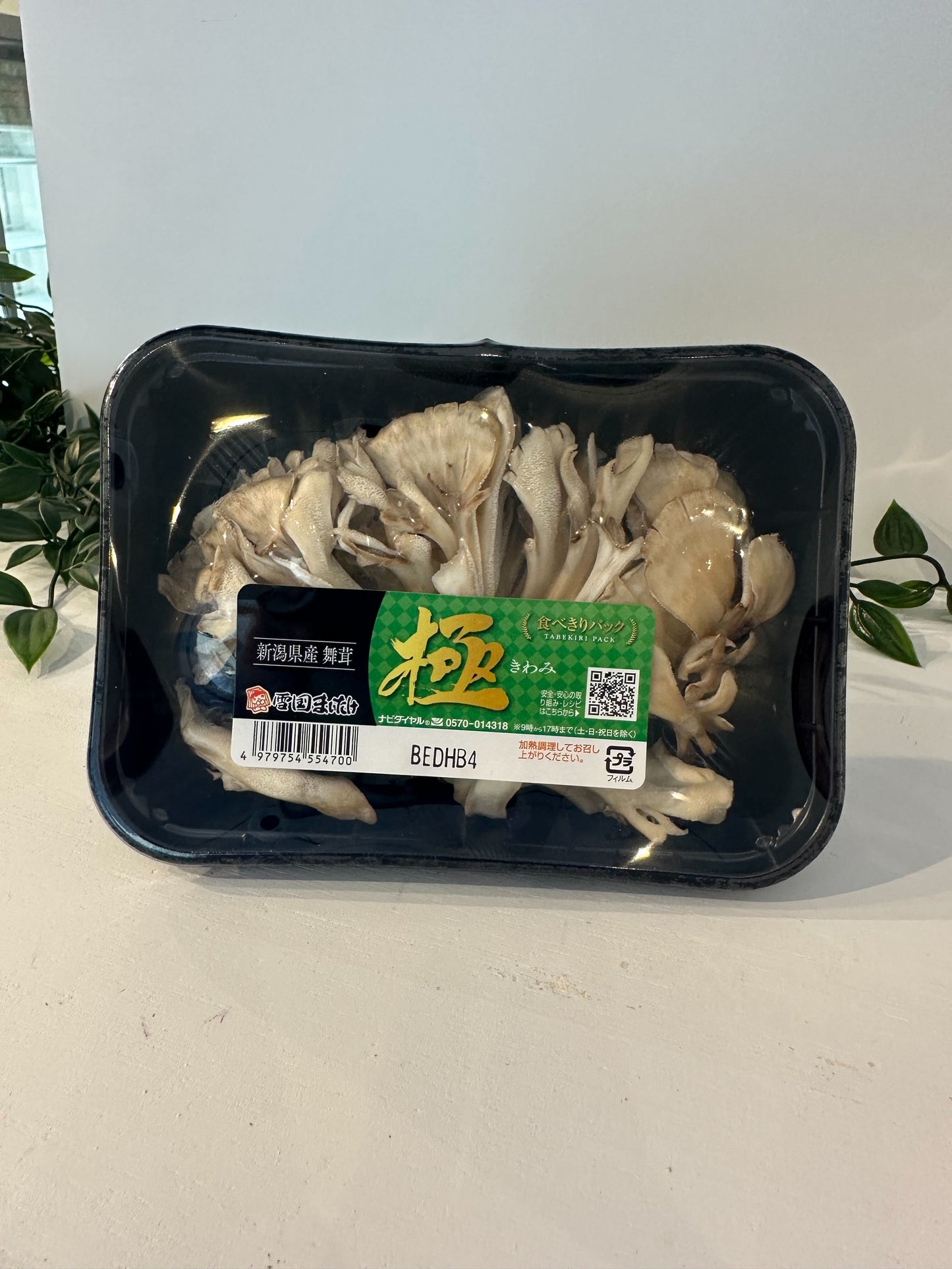 舞茸 新潟