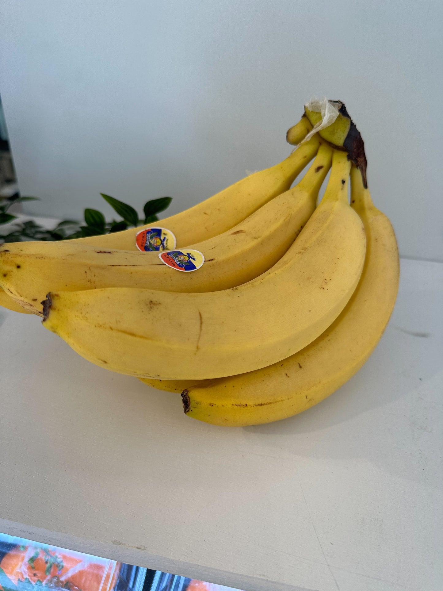 エクアドルバナナ