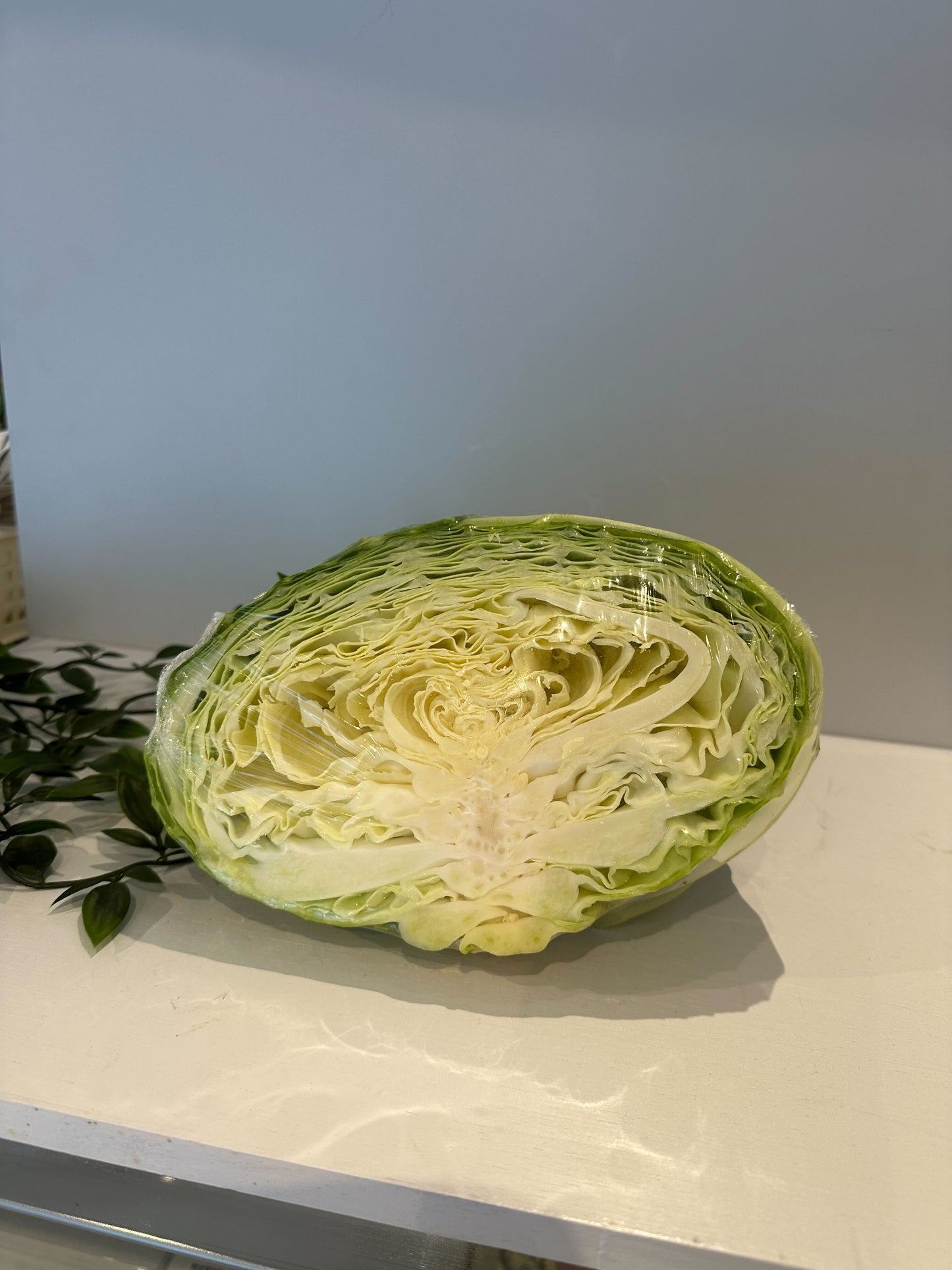 キャベツ 1/2個 群馬
