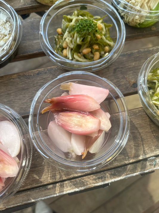 みょうがと蕪のピクルス