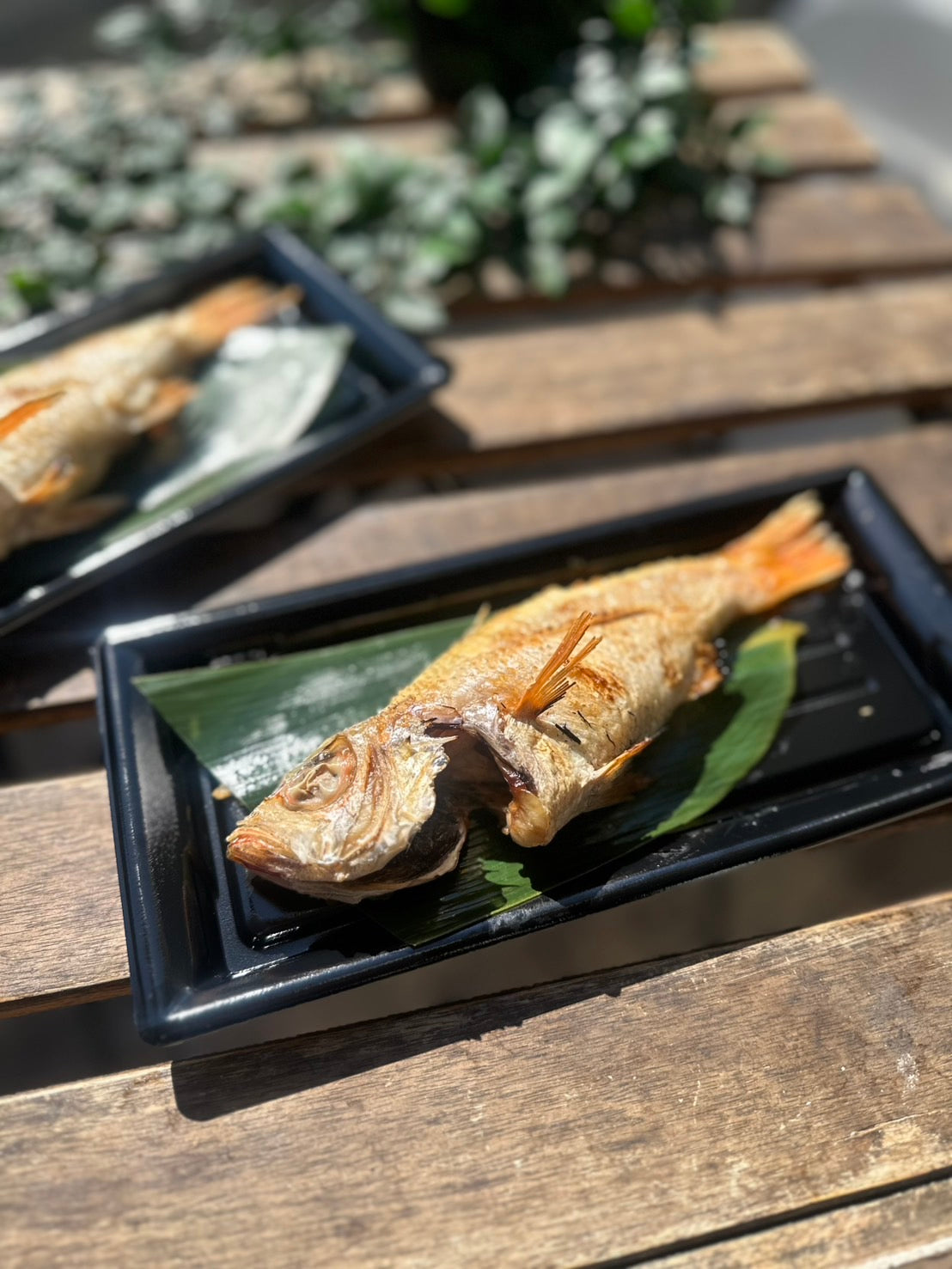 ノドグロ塩焼き