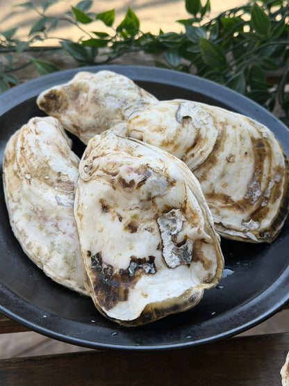 スミノエ牡蠣　佐賀