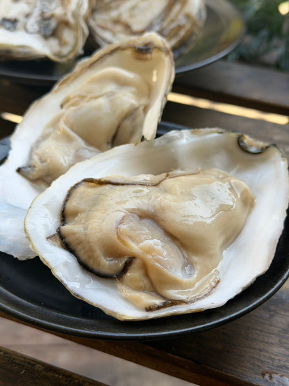 スミノエ牡蠣　佐賀