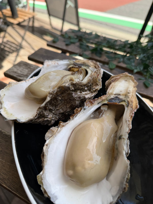 天然岩牡蠣　