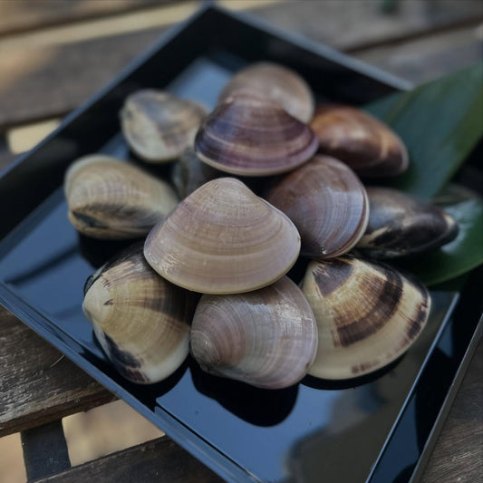 はまぐり（60g）