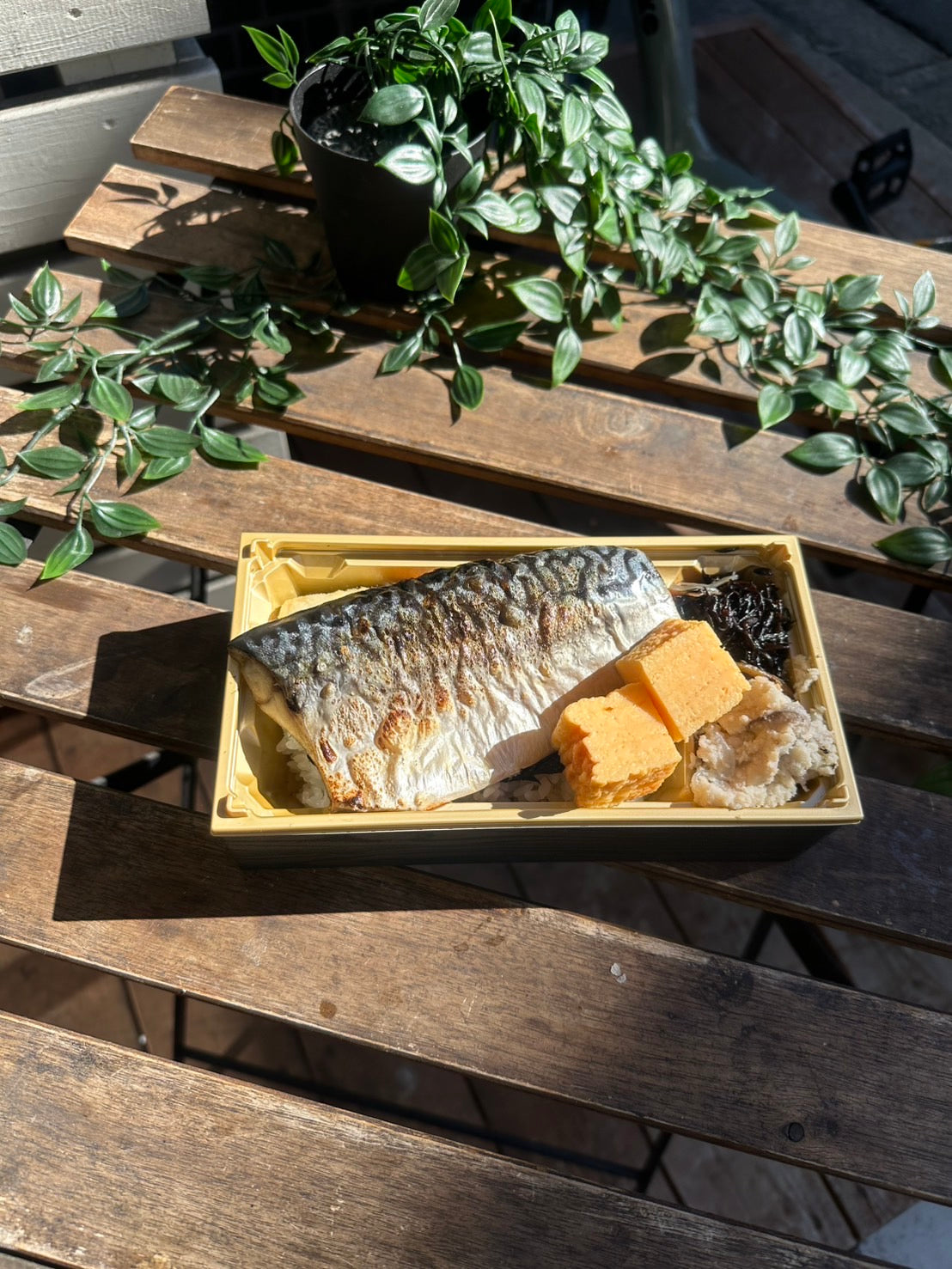 特大塩鯖焼海苔重