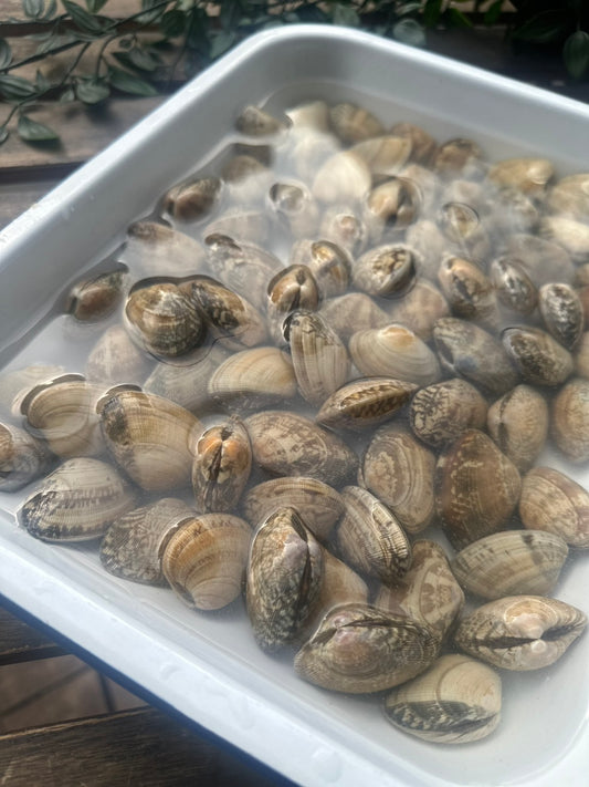 室津のアサリ（100g）