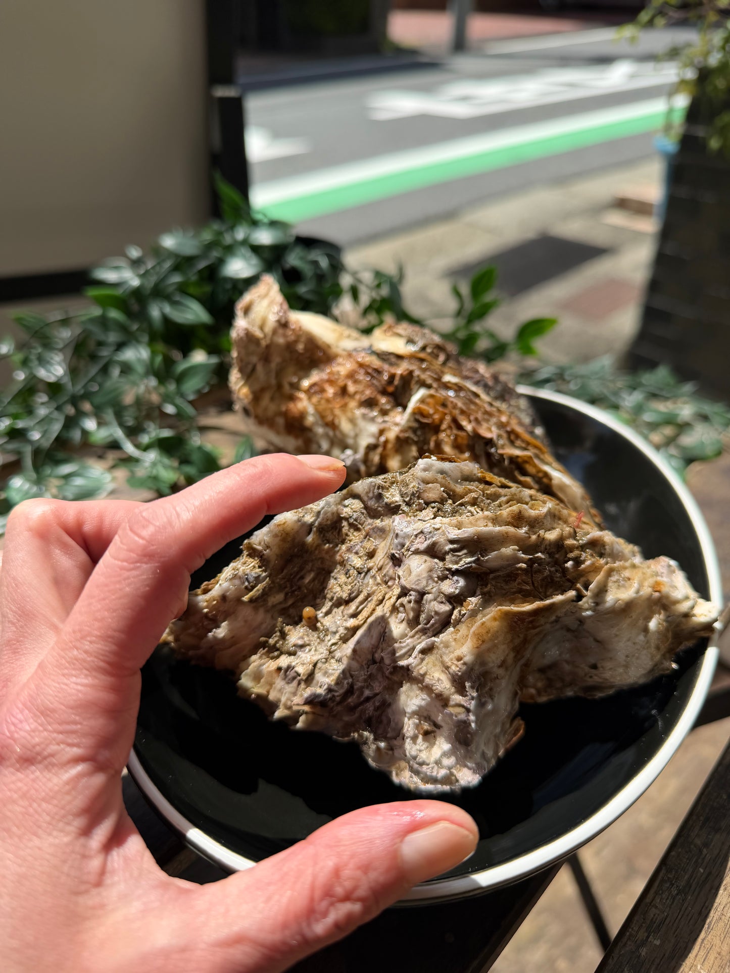 天然岩牡蠣　