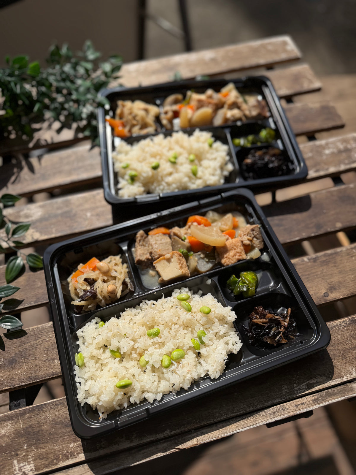 【早い者勝ち】日替わり幕の内　釜揚げしらすの炊き込みごはん　和牛すじ肉のスタミナ味噌煮込み